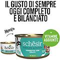 Schesir Cat In Gelatina Adult 85 Gr Tonnetto Con Orata