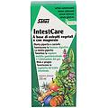 gmbh & co kg salus intestcare 250 ml integratore per la digestione e la regolarità