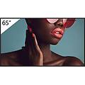 bravia fw-65bz40l 65" display