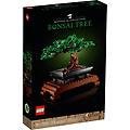 albero bonsai 10281