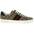 sneaker ' ace'