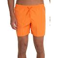 boxer mare arancio