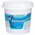 gastrocure mangime equini 2 6kg salute cavalli