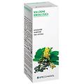 calendula 5 tintura madre 50 ml