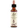 Schwabe Fiori Di Bach 34 Water Violet Gocce 20 Ml