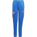 pantaloni da allenamento condivo 22 fc bayern münchen