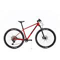 mtb ricondizionata · rakish xt · buone condizioni