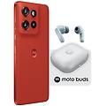 MOTOROLA smartphone edge 60 neo 8/256 gb poinciana + moto buds