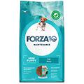 puppy junior maintenance crocchette al pesce per cuccioli taglia medio/piccola sacco 2kg