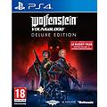wolfenstein youngblood deluxe ps4