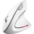verto mouse ufficio mano destra rf wireless ottico 1600 dpi