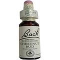 Schwabe 07 Chestnut Bud Gocce 20 Ml