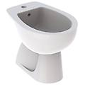 bidet a pavimento colibrì