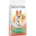 adult sensitive agnello & riso crocchette per cane 14 kg