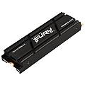 fury renegade 500g pcie 4. 0 nvme ssd w/ dissipatore di calore adattiper gamer appassionati e power