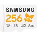 scheda di memoria microsd card sonic 256gb