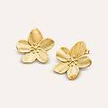 orecchini lobo lady code acciaio dorato collezione lady code giallo