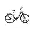 ebike ricondizionata · e-courier plus · come nuovo