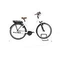 ebike ricondizionata · riese & müller swing silent · come nuovo riese &