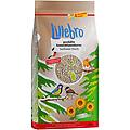 semi di girasole decorticati 3 kg