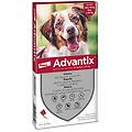 spot on per cani da 10 a 25 kg soluzione 4 pipette da