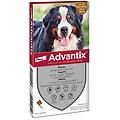 spot on per cani da 40 a 60 kg soluzione 4 pipette da