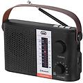 radio portatile ra 7f25 bt nero bluetooth usb microsd mp3 1200mah