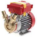 rover pompe rover 25 ce elettropompa da travaso in bronzo monofase 230v