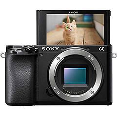 Sony Fotocamera Mirrorless Alpha 6100 Solo Corpo