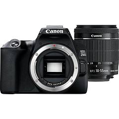 Canon - Eos 250d + Ef-s 18-55mm F / 3. 5-5. 6 Iii Kit