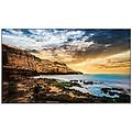 - qe50t uhd 127 cm (50') led 300 cd /m² 4k ultra hd nero processore integrato tizen 4. 0 16/7