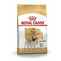 Royal Canin Cibo Per Cani Pug Carlino 1 5 Kg