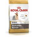 mangime yorkshire terrier adulti