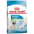italia srl royal can xsmall junior cane 1 5kg