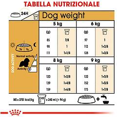 Royal Canin Crocchette Per Cani Cavalier King Charles Adulti