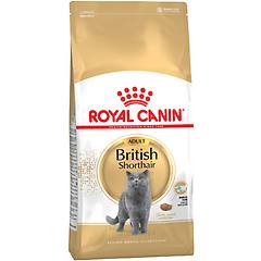 Royal Canin - Cibo Secco Per Gatti British Shorthair Adult10 Kg