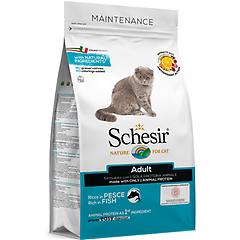 Schesir Cat Dry Mantenimento Pesce 1 5 Kg Cibo Monoproteico