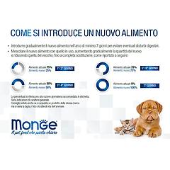 Monge Monoprotein Cat Adult Con Coniglio 1 5 Kg