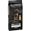 purina pro plan large robust adult everyday nutrition cibo secco con pollo cani adulti taglia