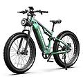 bicicletta elettrica e26 motore 750w 48v batteria samsung 20ah sospensione totale