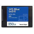 Wd Blue Sa510 Ssd Sata 3 Da 2 5 E 250 Gb