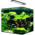 acquario nanotank cubo system 25 x 25 x 30 1&deg; ordine? scegli tra bzr5 bzr20 + 200 pt