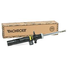 Monroe Ammortizzatore G16450 Sinistro