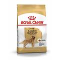 crocchette per cani golden retriever adulti sacco 12 kg