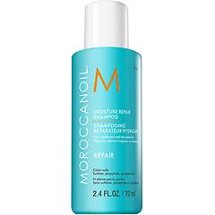 Hairgallery Moisture Repair Shampoo 70ml Shampoo Ristrutturante