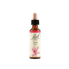 Schwabe Bach Oak 20 Ml