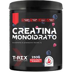 trex t-rex creatina monoidrato polvere integratore per sportivi in polvere gusto frutti di bosco 250g