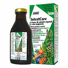 Salus Haus Gmbh & Co Kg Salus Intestcare 250 Ml Integratore