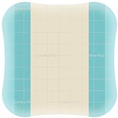 Efarma Coloplast Spa Comfeel Plus 10x10 10pz 33110