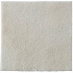 Efarma Coloplast Spa Biatain Ag Alginate 10x10x10 3760
